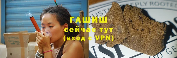 шишки Верея