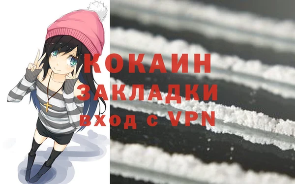 шишки Верея
