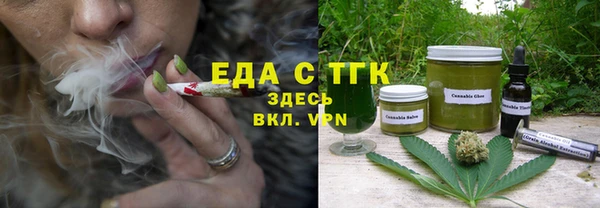 шишки Верея