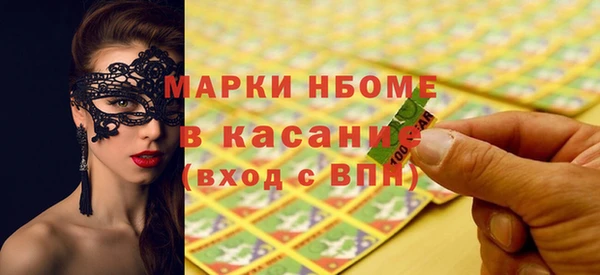 шишки Верея
