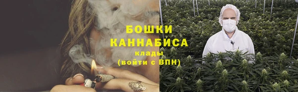 шишки Верея