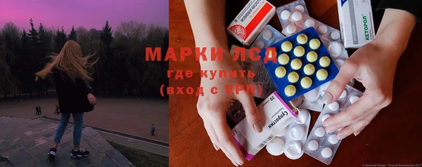 шишки Верея