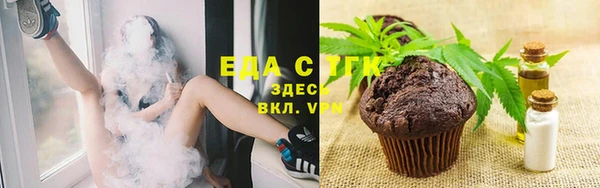 индика Верхний Тагил