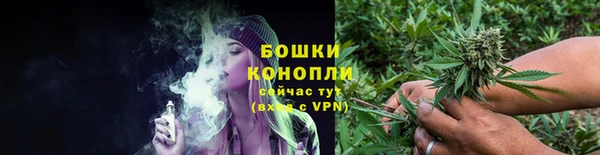 индика Верхний Тагил
