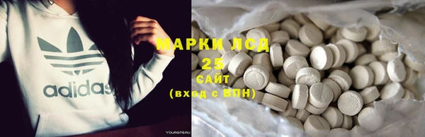 шишки Верея