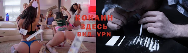 шишки Верея