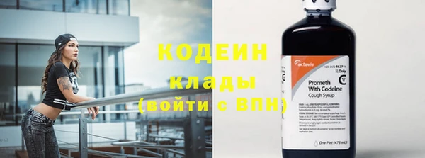 индика Верхний Тагил