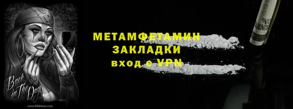 шишки Верея