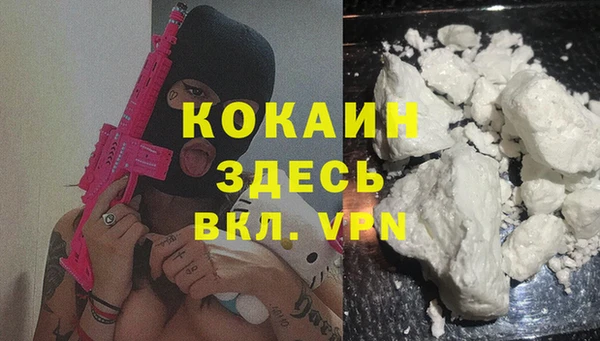 индика Верхний Тагил