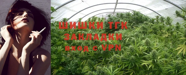 шишки Верея