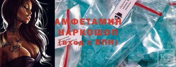 шишки Верея