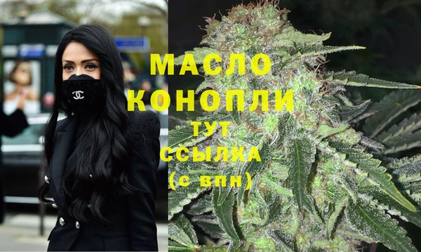 индика Верхний Тагил