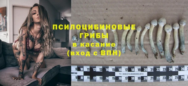шишки Верея
