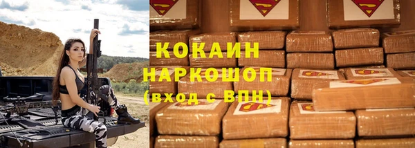 шишки Верея