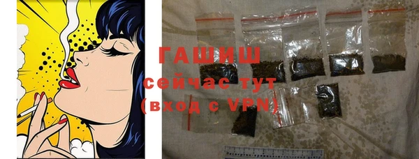 шишки Верея