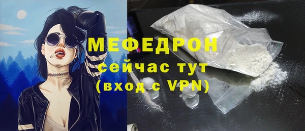 индика Верхний Тагил