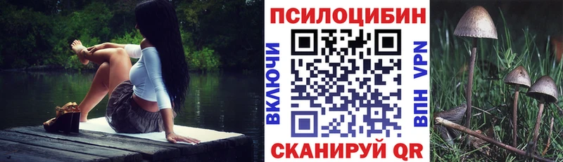 Галлюциногенные грибы Psilocybine cubensis  Всеволожск 